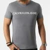 De gros 🥰 Tee 👚 Shirt Institutional Logo 7856 Gris de Calvin Klein 😉