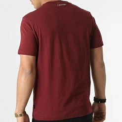 Acheter 🎉 Tee 👚 Shirt Logo Coordinates 8018 Bordeaux de Calvin Klein 🥰 -France Calvin Klein Soldes 2024 calvin klein 295737 K10K108018 XUU 20211217T163731 04