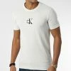 De gros 🎉 Tee 👕 Shirt 0855 Gris de Calvin Klein 💯