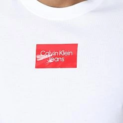 Grosses soldes 💯 Tee 👚 Shirt Small Center Box 2510 Blanc de Calvin Klein 💯 -France Calvin Klein Soldes 2024 calvin klein 345397 J30J322510 YAF 20221025T155259 02